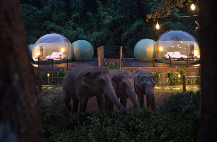 Anantara Chiang Rai - Jungle Bubbles