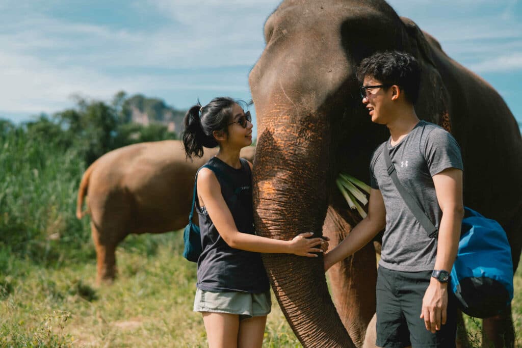 חוות פילים טיפולית – קראבי